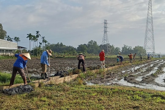 Phường Cẩm Lệ ra quân diệt chuột và nạo vét kênh mương vụ Đông Xuân