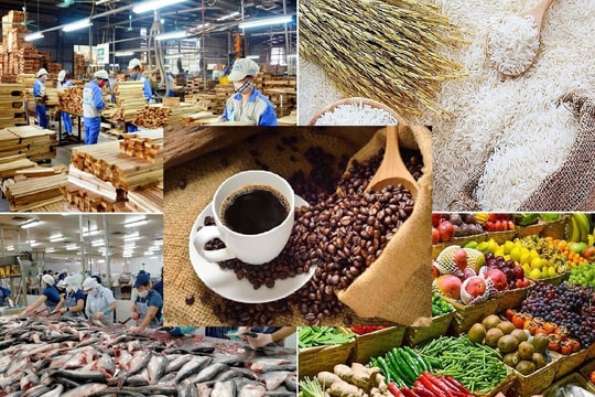 Xuất khẩu nông sản bật tăng mạnh cuối năm: Việt Nam vượt mốc 64 tỷ USD