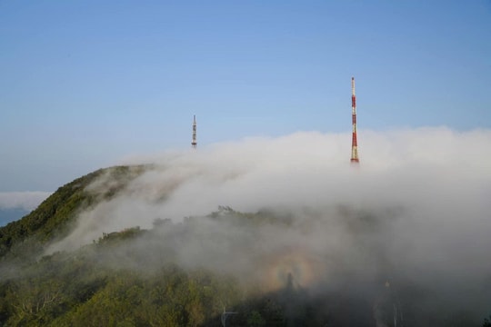 "Săn" mây trong thành phố