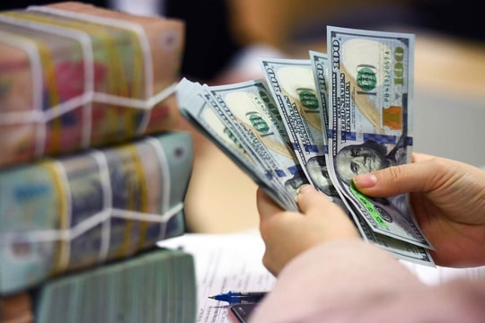 Tỷ giá USD hôm nay 8/12/2025: Giảm nhẹ đầu tuần