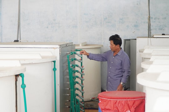 Khi doanh nghiệp cần "bạn đồng hành công nghệ"