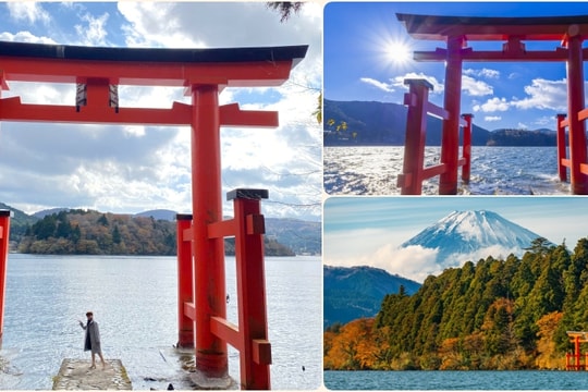 Hakone và Kazo: Hành trình chữa lành với sắc vàng mùa thu