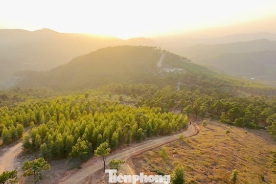 Đỉnh Phượng Hoàng: Săn mùa cỏ cháy ở 'Đà Lạt thu nhỏ'
