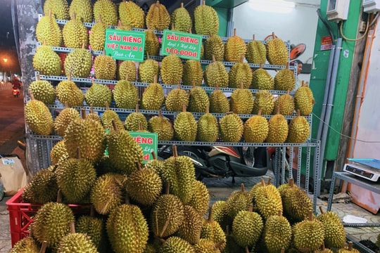 Giá sầu riêng hôm nay 8/12/2025: Giao dịch giữ nhịp trầm lắng