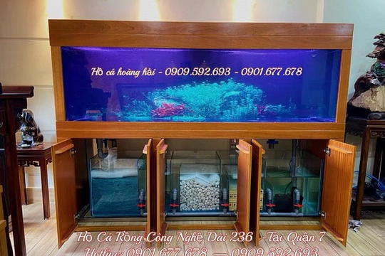 Thi công hồ cá rồng công nghệ mới - Lắp đặt hồ cá theo yêu cầu