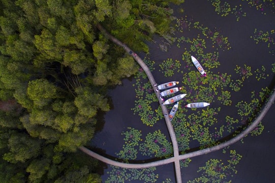 Làng nổi Tân Lập: Lạc giữa rừng tràm và sông nước Long An