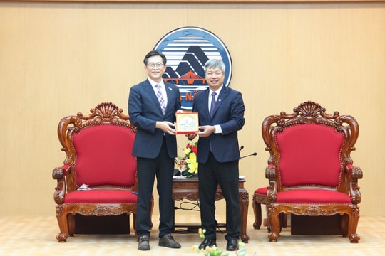 Đà Nẵng thúc đẩy hợp tác hữu nghị với huyện Yeongam (Hàn Quốc)