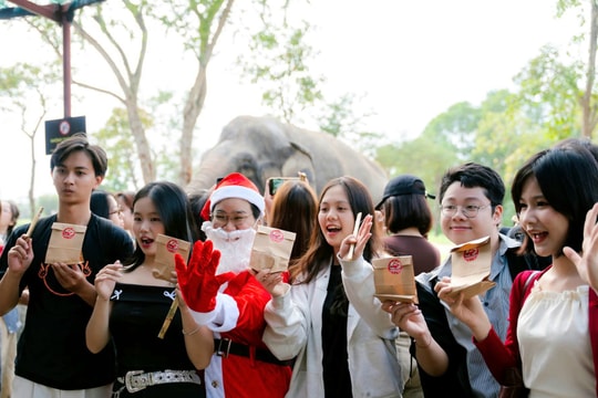 Sức hút điểm đến Đà Nẵng