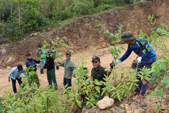 Triển khai hiệu quả đề án trồng cây xanh, hướng đến đô thị sinh thái