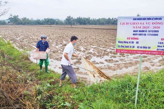 Định hướng lịch gieo sạ và cơ cấu giống lúa vụ đông xuân