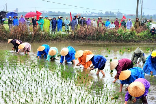Lễ hội xuống đồng Hội An Đông sẽ diễn ra vào ngày 4/1/2026