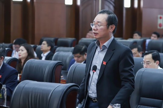 Ưu tiên quỹ đất cho cây xanh và công viên trong quy hoạch thành phố Đà Nẵng