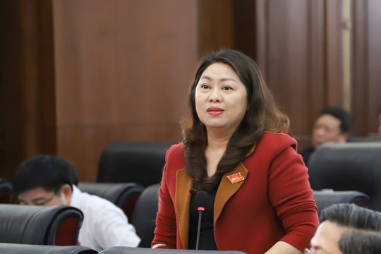 Đại biểu HĐND kiến nghị có phương án xử lý đối với nhà công sản dôi dư và các dự án kéo dài