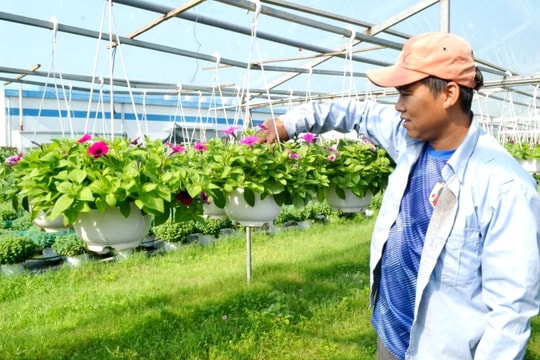 Kinh tế nông nghiệp tạo sức bật mới