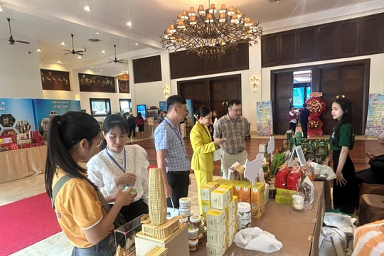 Động lực từ thương mại