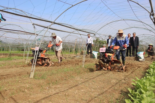 Cầu nối hỗ trợ hợp tác xã