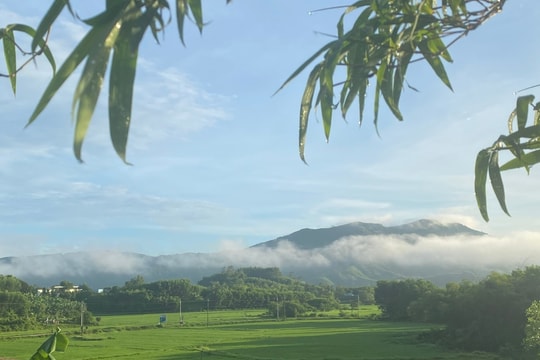 Giữa miền sim dại