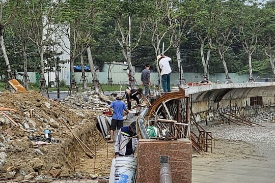 Dự án khắc phục bờ kè đường Như Nguyệt: Phấn đấu hoàn thành trong tháng 1/2026