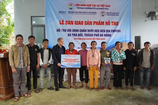 Mở hướng thoát nghèo từ mô hình nuôi heo đen địa phương