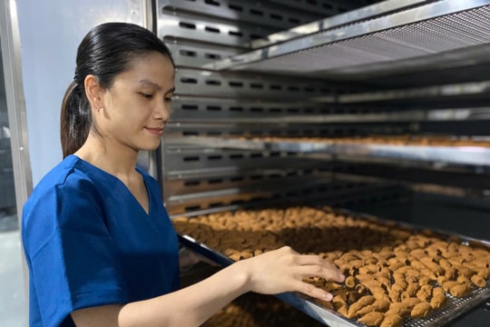 Tập trung nguồn lực để phát triển công nghiệp dược liệu