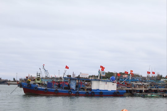 Quyết liệt hơn vì mục tiêu nghề cá bền vững
