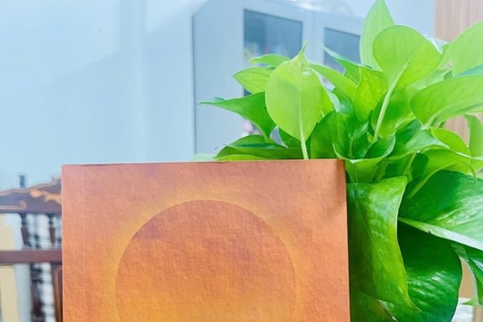 Chữa lành Trong những ngày đợi quên