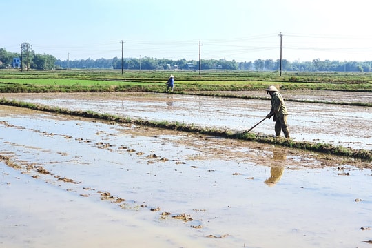 Hợp tác xã khôi phục sản xuất