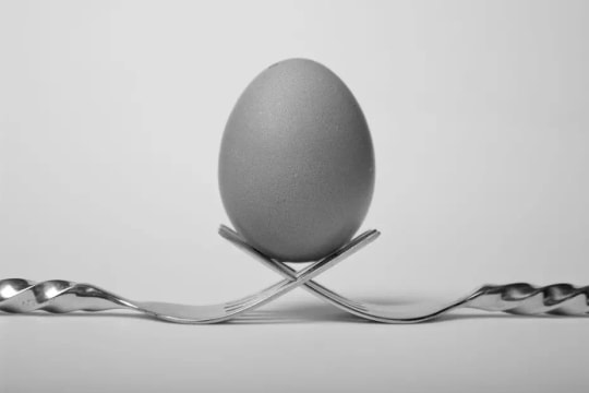 Chụp ảnh tĩnh vật tại nhà: Biến dĩa và trứng thành tác phẩm