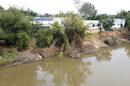 Cần giải pháp bền vững để ngăn sạt lở bờ sông