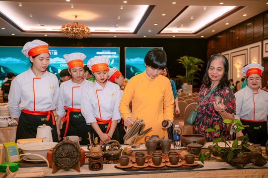 Nâng chuẩn nhân lực ngành du lịch