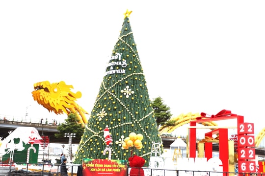 Da Nang’s tourism gets major boost with Christmas and New Year 2026 festivities