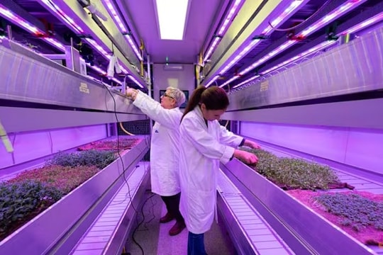 Phát triển thực phẩm in 3D từ tế bào thực vật và bã trái cây