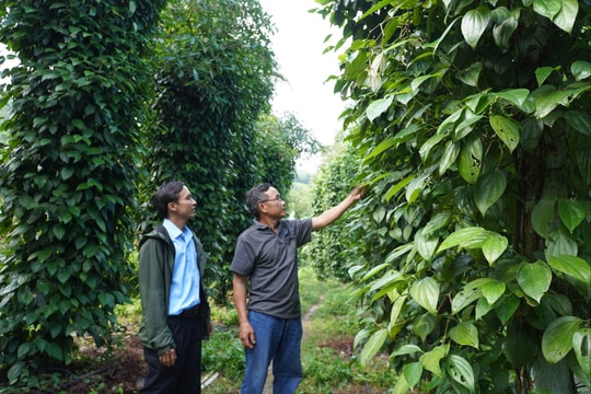 Niềm tin vào chặng đường phát triển mới