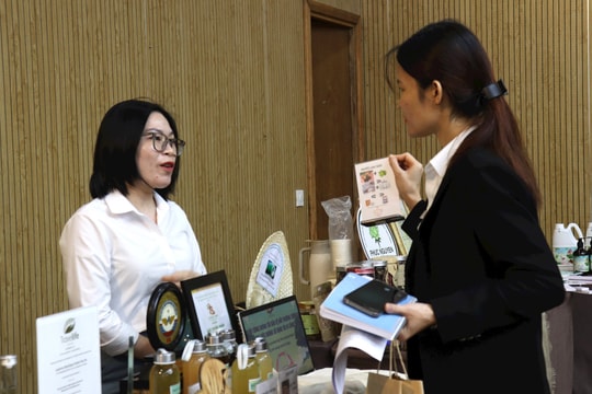 Các cơ sở kinh doanh dịch vụ du lịch cần chú trọng bảo vệ môi trường