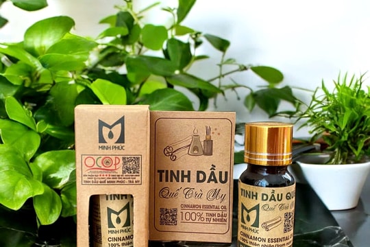 Động lực phát triển công nghiệp nông thôn