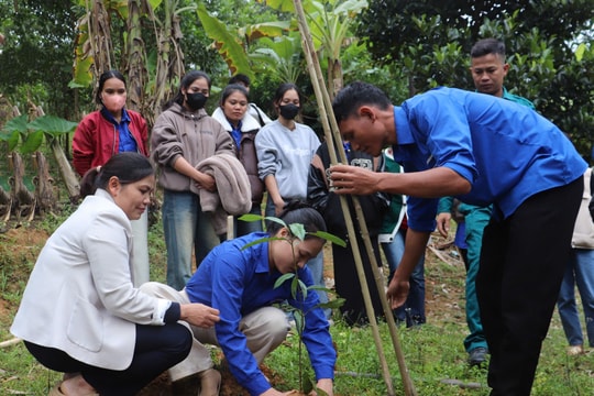 Thiết thực hỗ trợ thanh niên miền núi xây dựng sinh kế bền vững