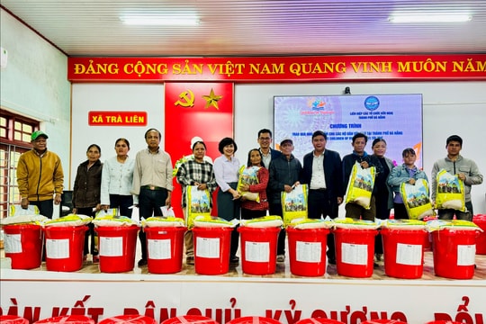 Liên hiệp các tổ chức hữu nghị Thành phố Đà Nẵng hỗ trợ người dân vùng lũ