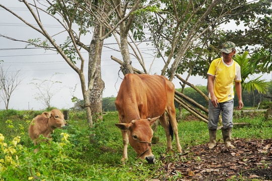 Điểm sáng trong công tác giảm nghèo bền vững ở Thăng Phú