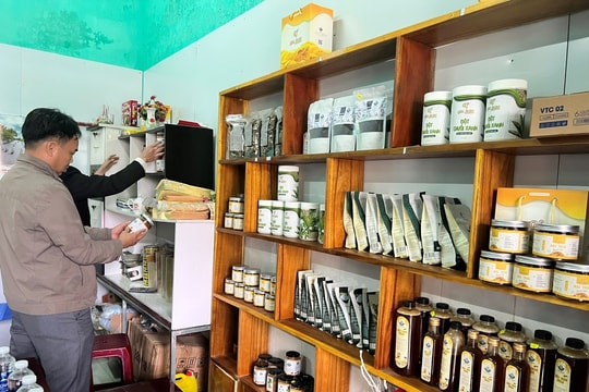 Xây dựng nông thôn mới thích ứng chính quyền địa phương 2 cấp