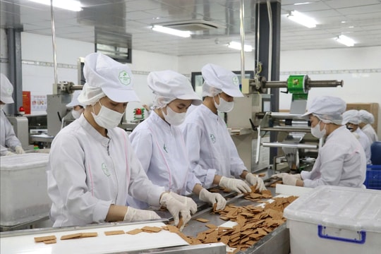 Động lực nâng cao chất lượng sản phẩm công nghiệp nông thôn