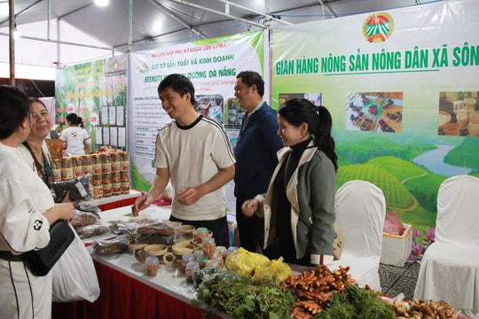 Ngày hội khuyến mãi cuối năm tại phường Hòa Khánh