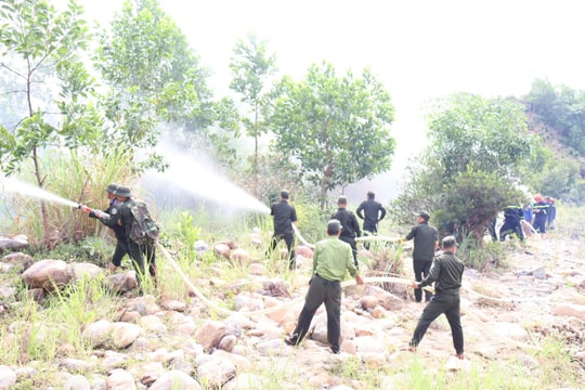 Chủ động thích ứng mô hình mới, nâng cao hiệu quả quản lý và bảo vệ rừng