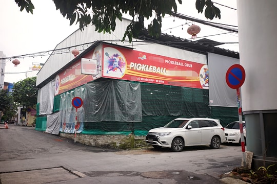 Đà Nẵng: Siết chặt quản lý sân pickleball, tránh ảnh hưởng tiếng ồn trong khu dân cư