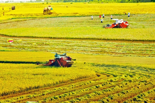 Để hồi sinh mùa màng…