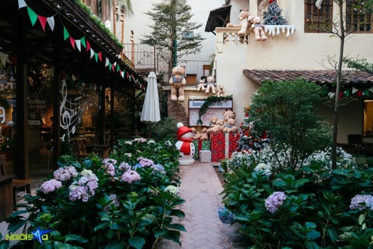 Tây Hồ: Ghé quán cà phê gấu bông trang trí Giáng sinh rực rỡ