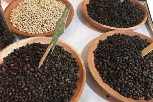 Giá tiêu hôm nay 20/12: Thị trường đi ngang, cao nhất 148.500 đồng/kg