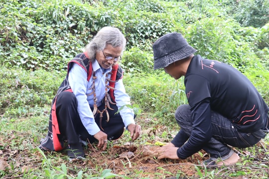“Rừng ơi, thở đi”
