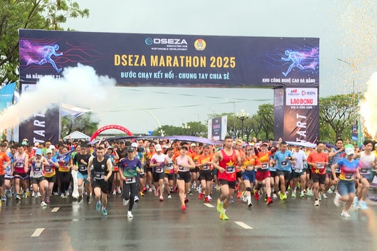 Hơn 800 vận động viên tham gia Giải chạy DSEZA Marathon 2025