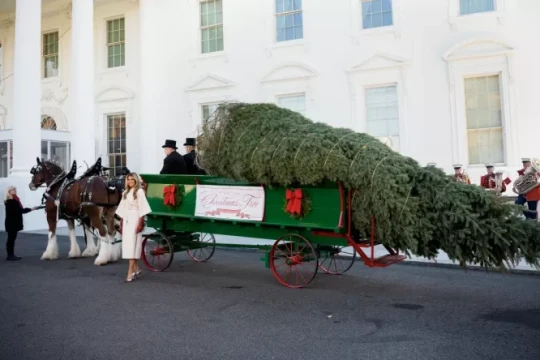 Washington D.C: Chiêm ngưỡng vẻ đẹp Nhà Trắng mùa Giáng sinh 2025