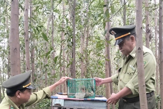 Ngăn chặn săn bắt động vật hoang dã